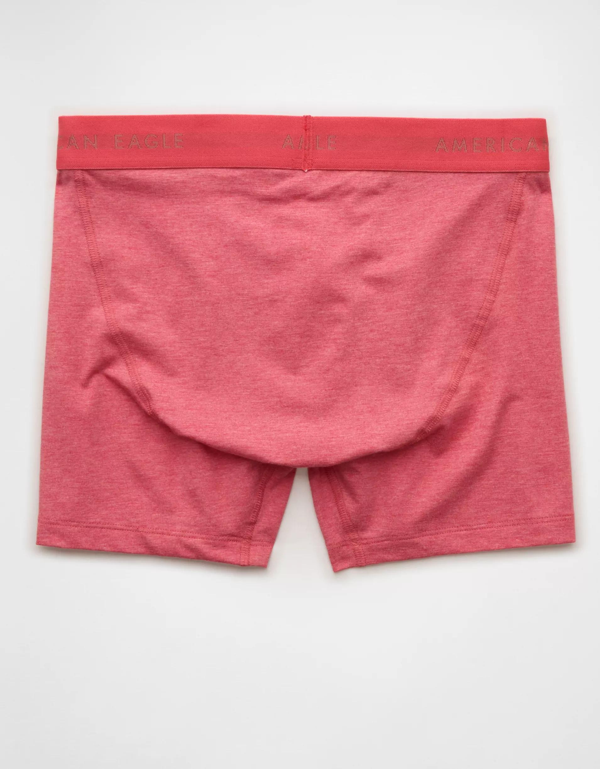 AEO Men's 4.5" Classic Boxer Brief Product Image