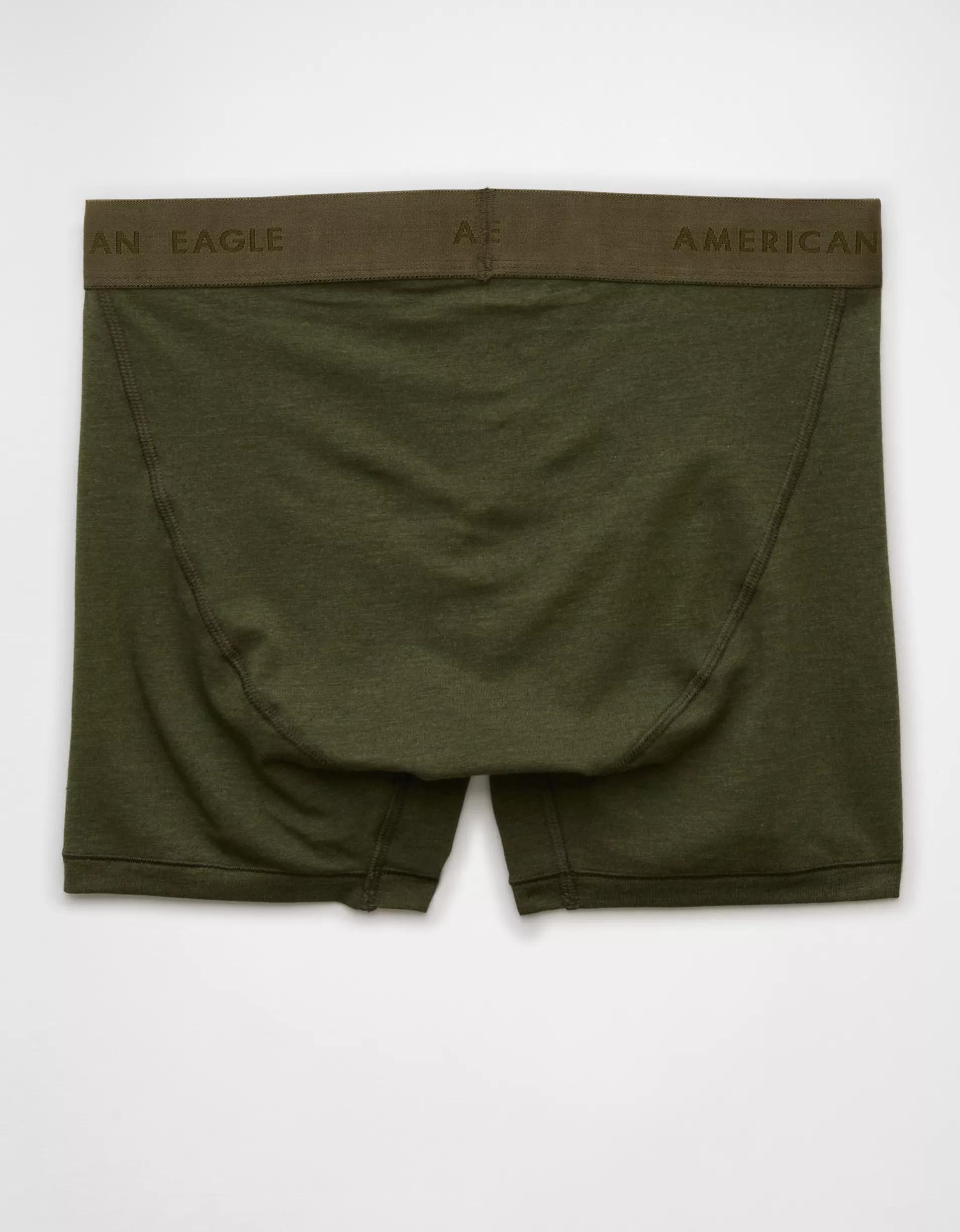 AEO Men's 4.5" Classic Boxer Brief Product Image