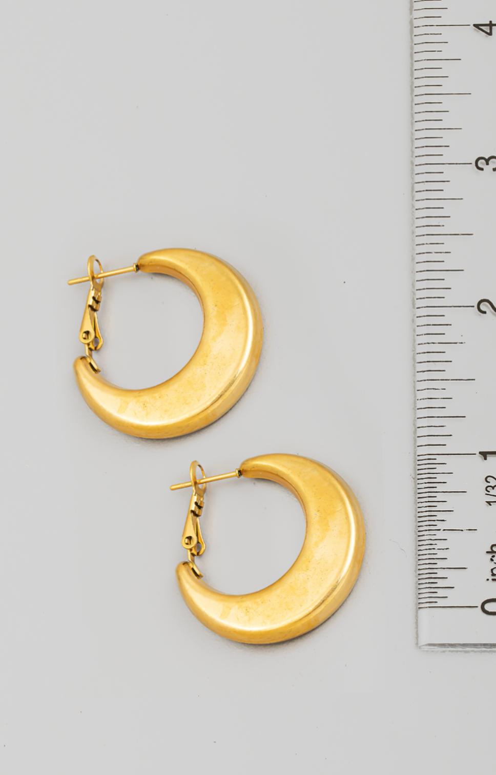 Crescent Hoop Earrings Product Image