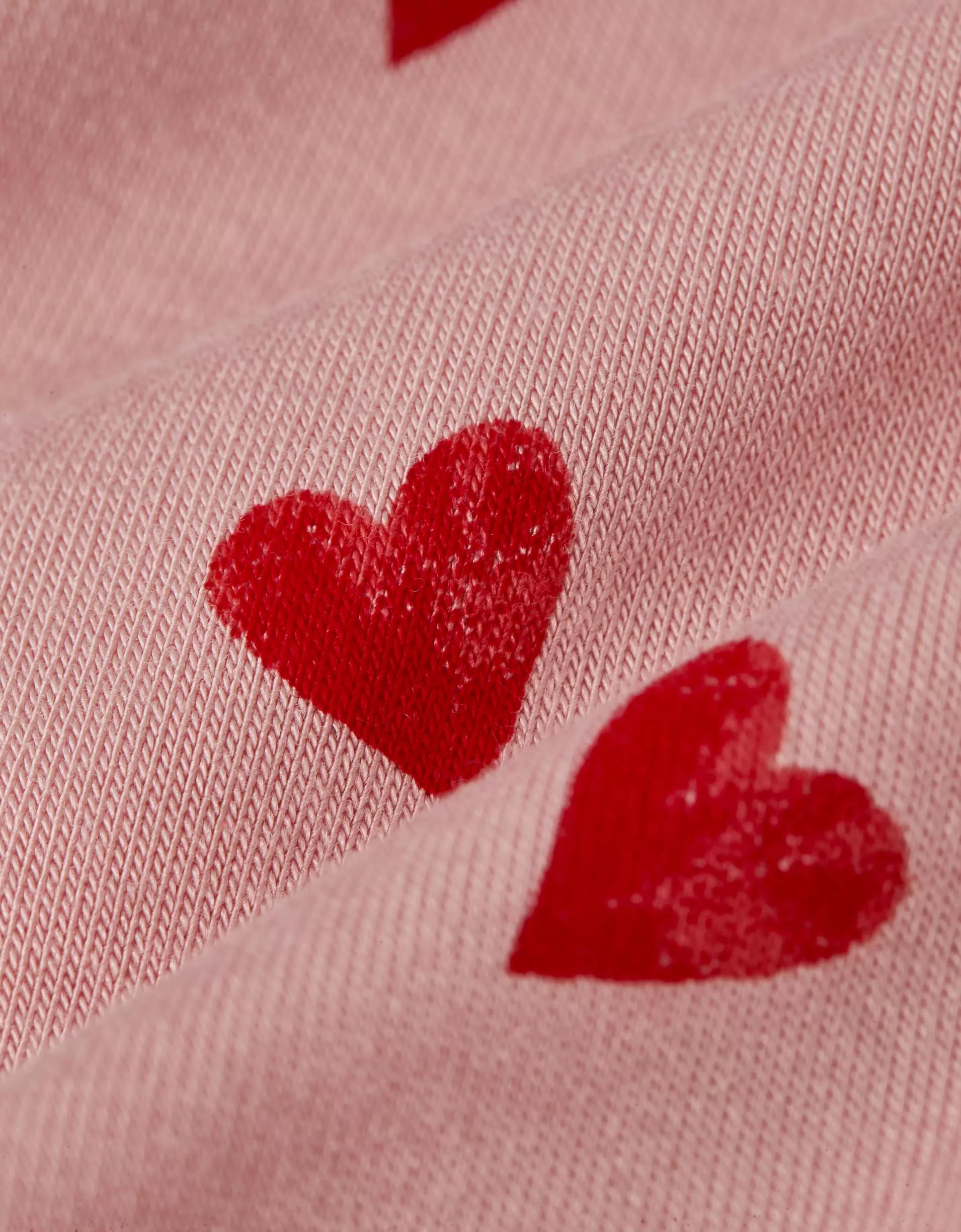 AEO Men's Mushrooms 4.5" Ultra Soft Boxer Brief Product Image