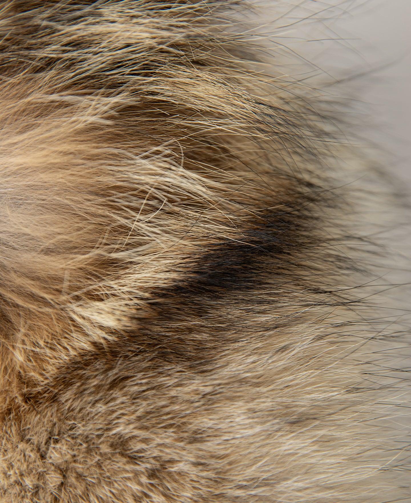 Polar Down parka - Olive Product Image