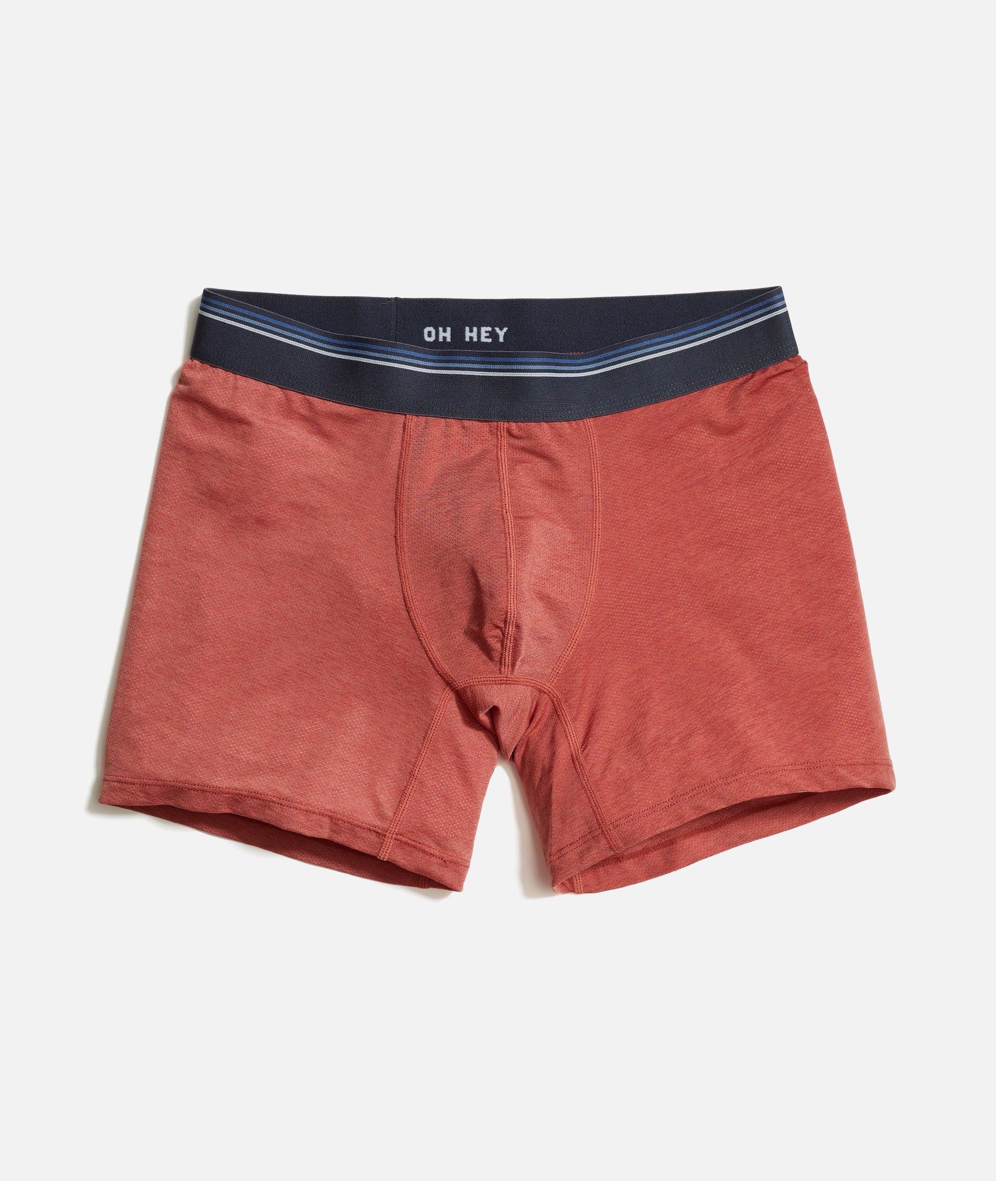 Air Boxer Brief Product Image