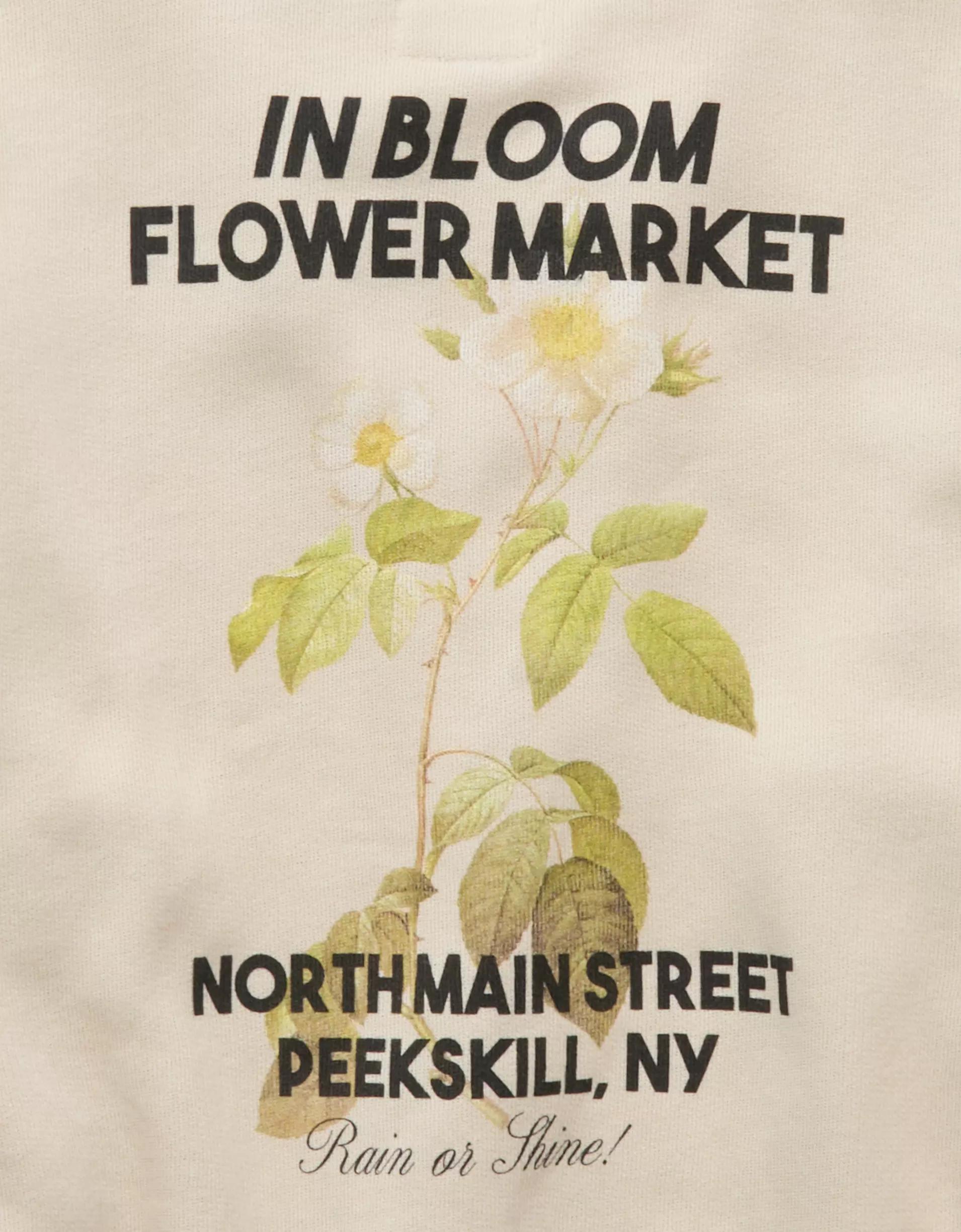 AE Relaxed Fit Destination Graphic Sweatshirt Product Image