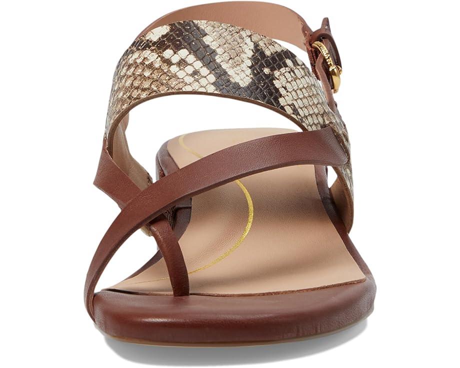 Gayle Thong Sandal Product Image