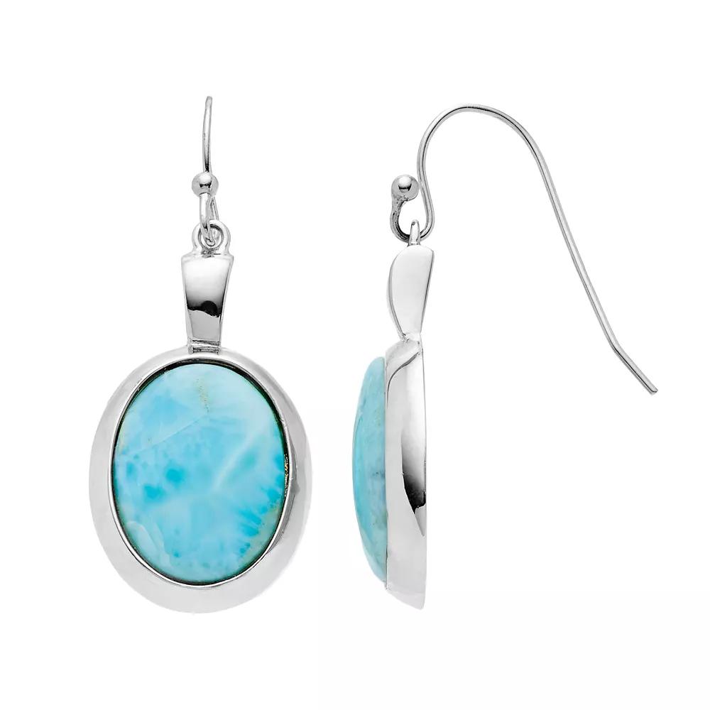 Sterling Silver Larimar Oval Drop Earrings, Women's, Blue Product Image