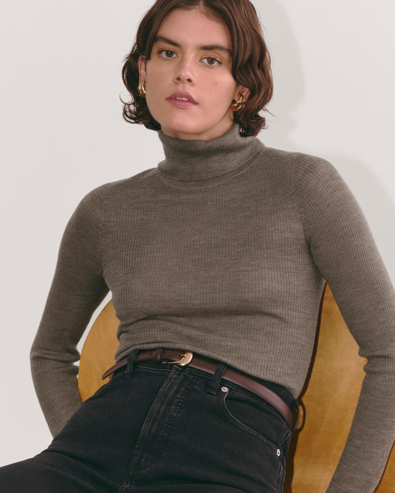 Womens Turtleneck in Ultrasoft Merino Sweater by Everlane Product Image