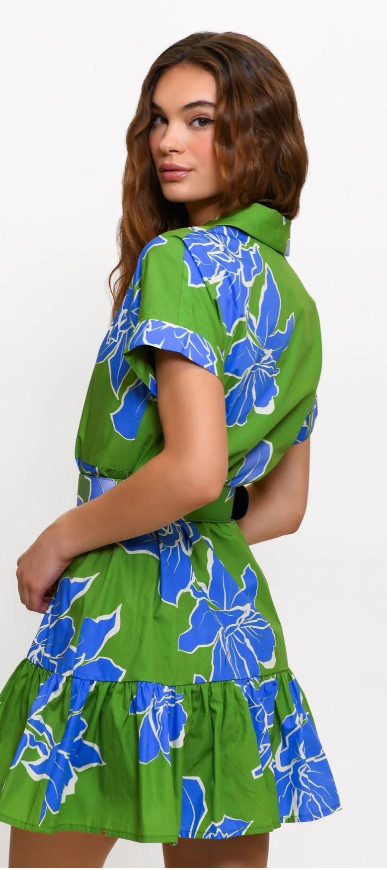 Hutch Camp Collar Button Down Shirt Dress Product Image