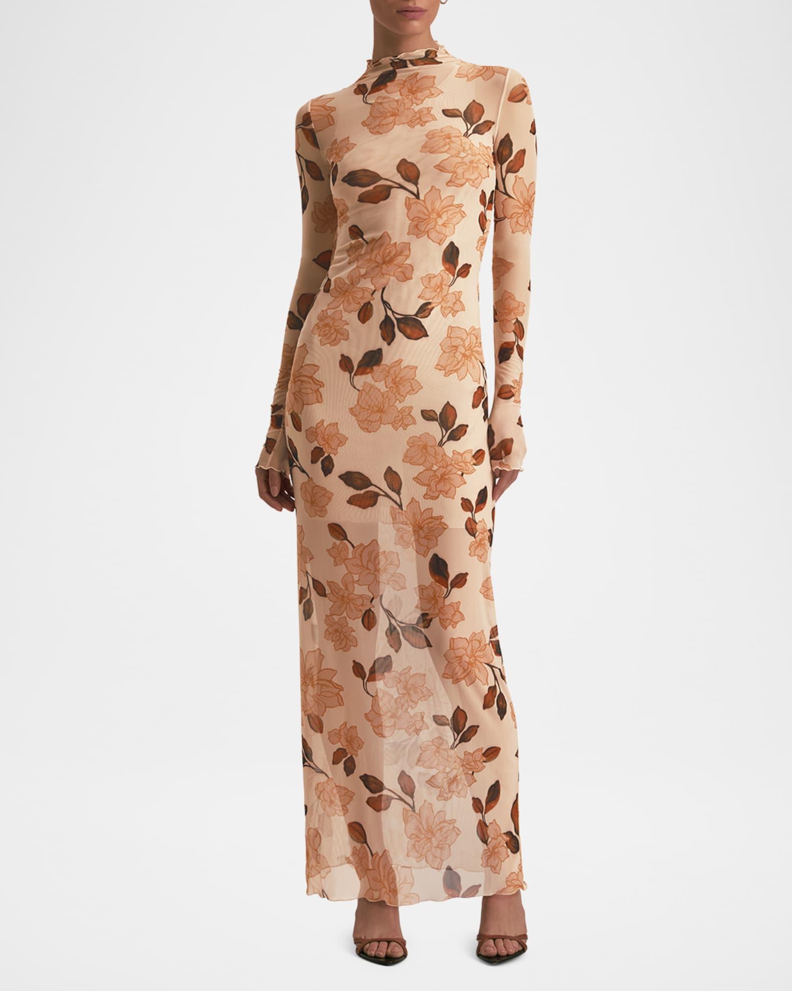 The Sheer Fantasy Maxi Dress Product Image