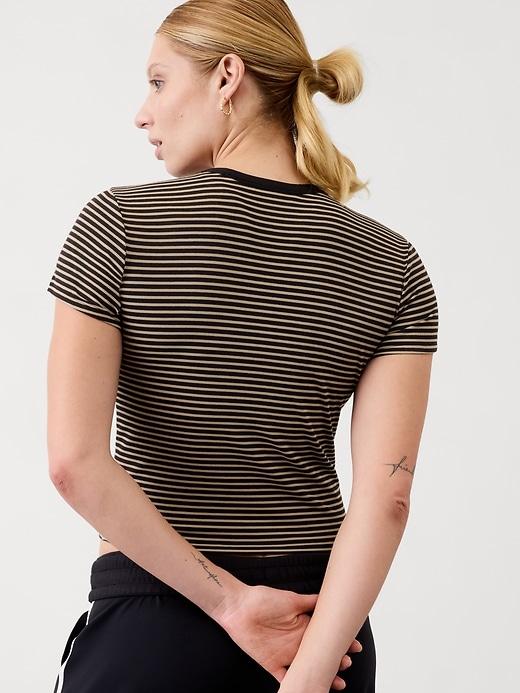 Signature Rib Crop Tee Product Image