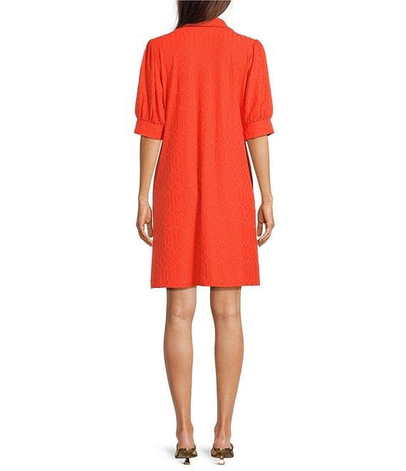 Jude Connally Emerson Jacquard Split Collar V-Neck Short Puff Sleeve Swing Dress Product Image