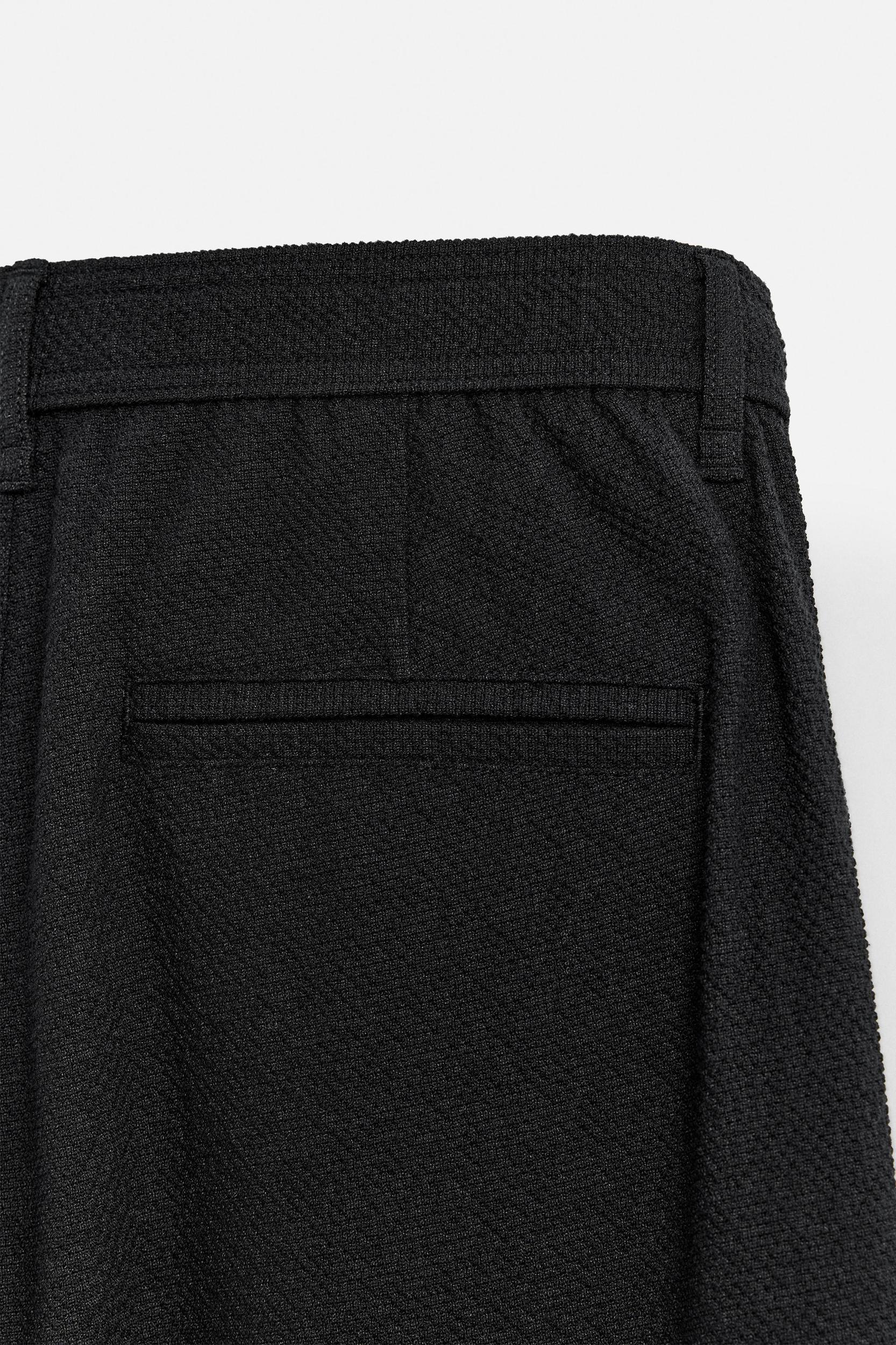 TEXTURED PLEATED PANTS Product Image