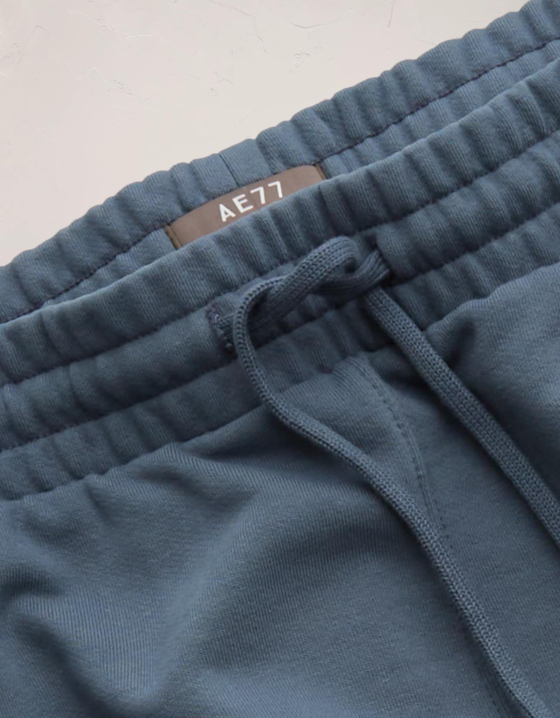 AE77 Premium Fleece Sweat Short Product Image