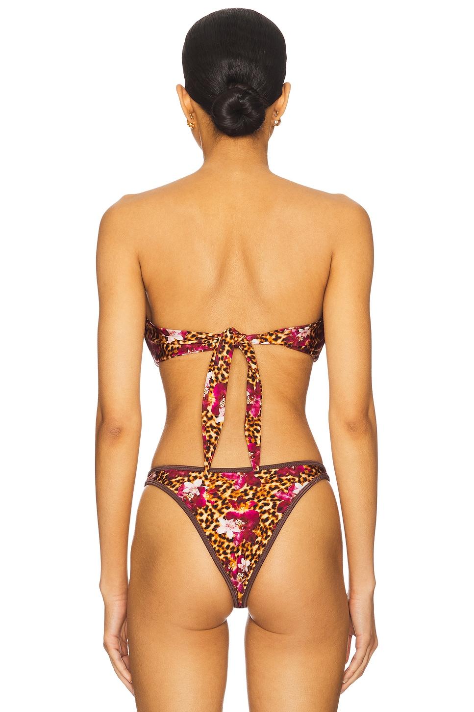 Tallara Bikini Top FAE Product Image