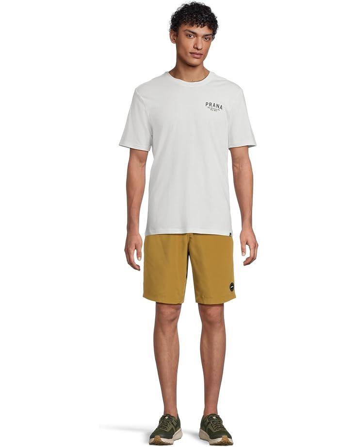 Palisades Ripstop Cargo Shorts Product Image
