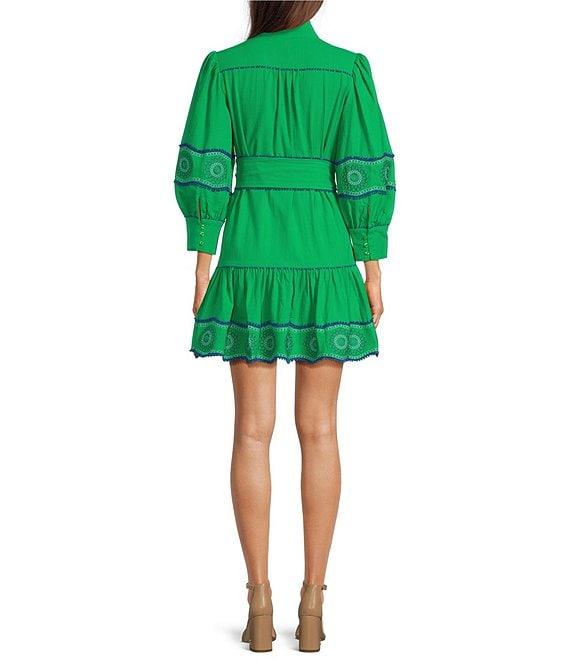 tyler boe Christy Embroidered Funnel Collar 3/4 Sleeve Drop Waist Button Front Dress Product Image