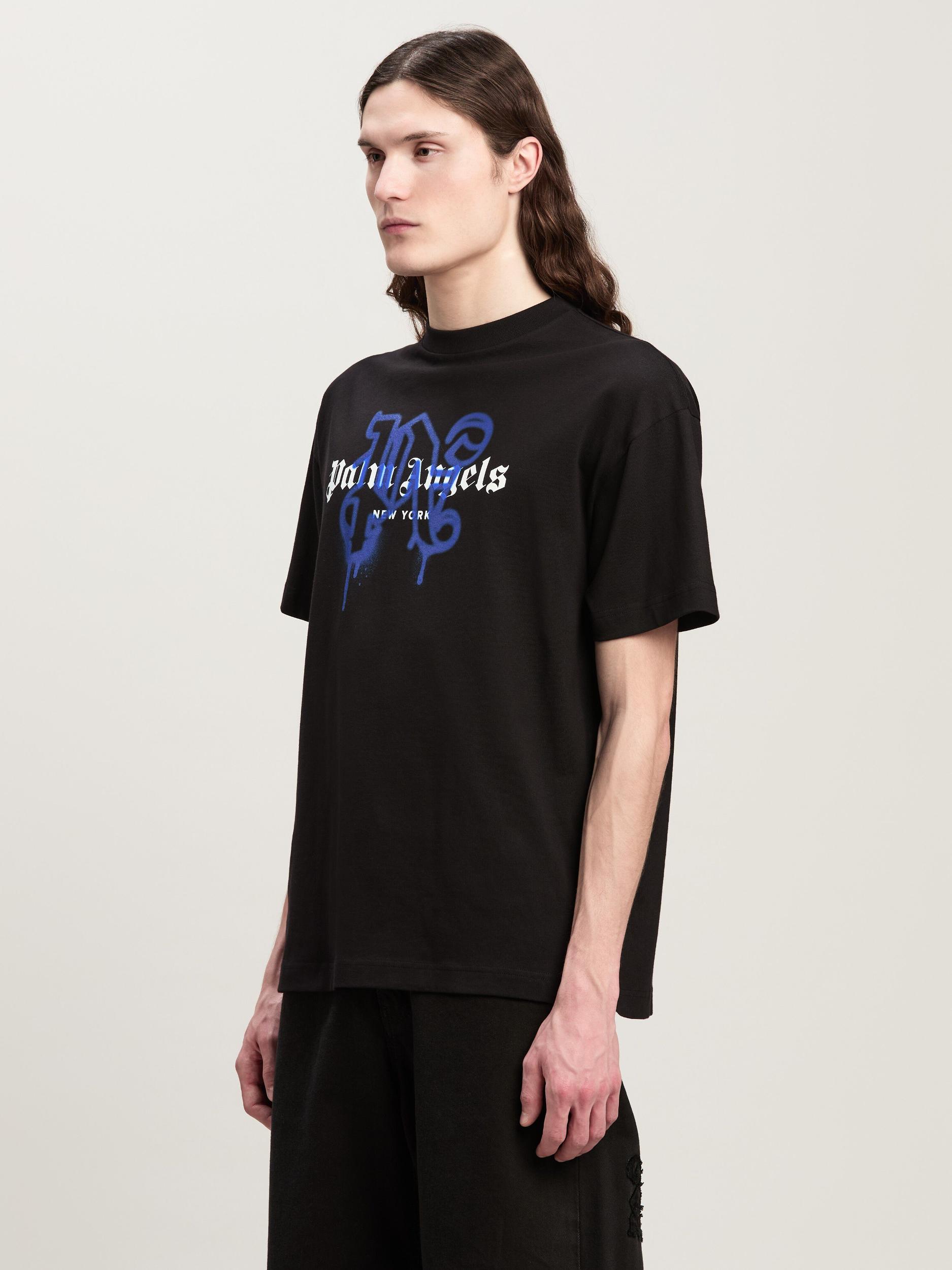 Lightweight Jersey Raglan Standard T-Shirt Male Product Image