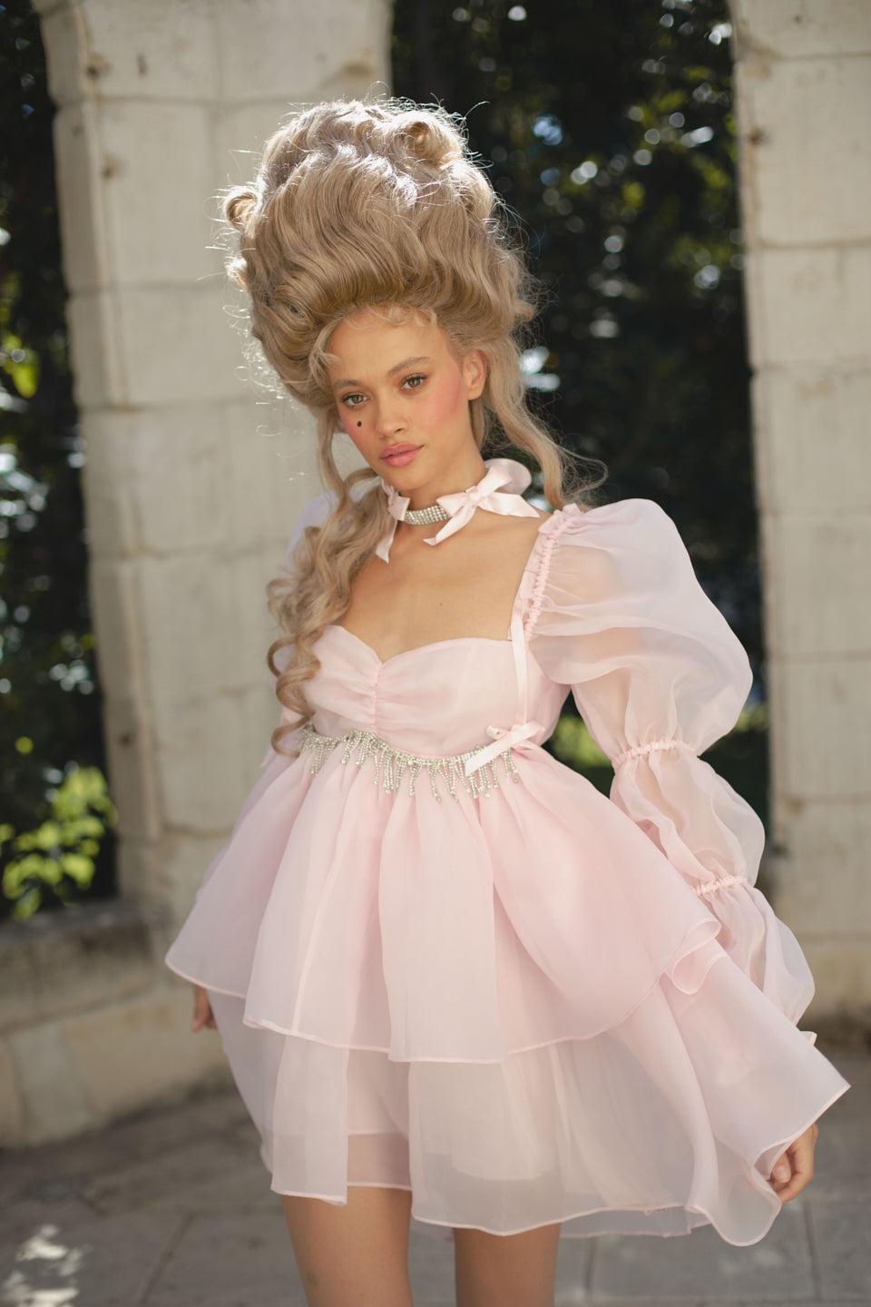 The Ballerina Moonlight Dress Product Image