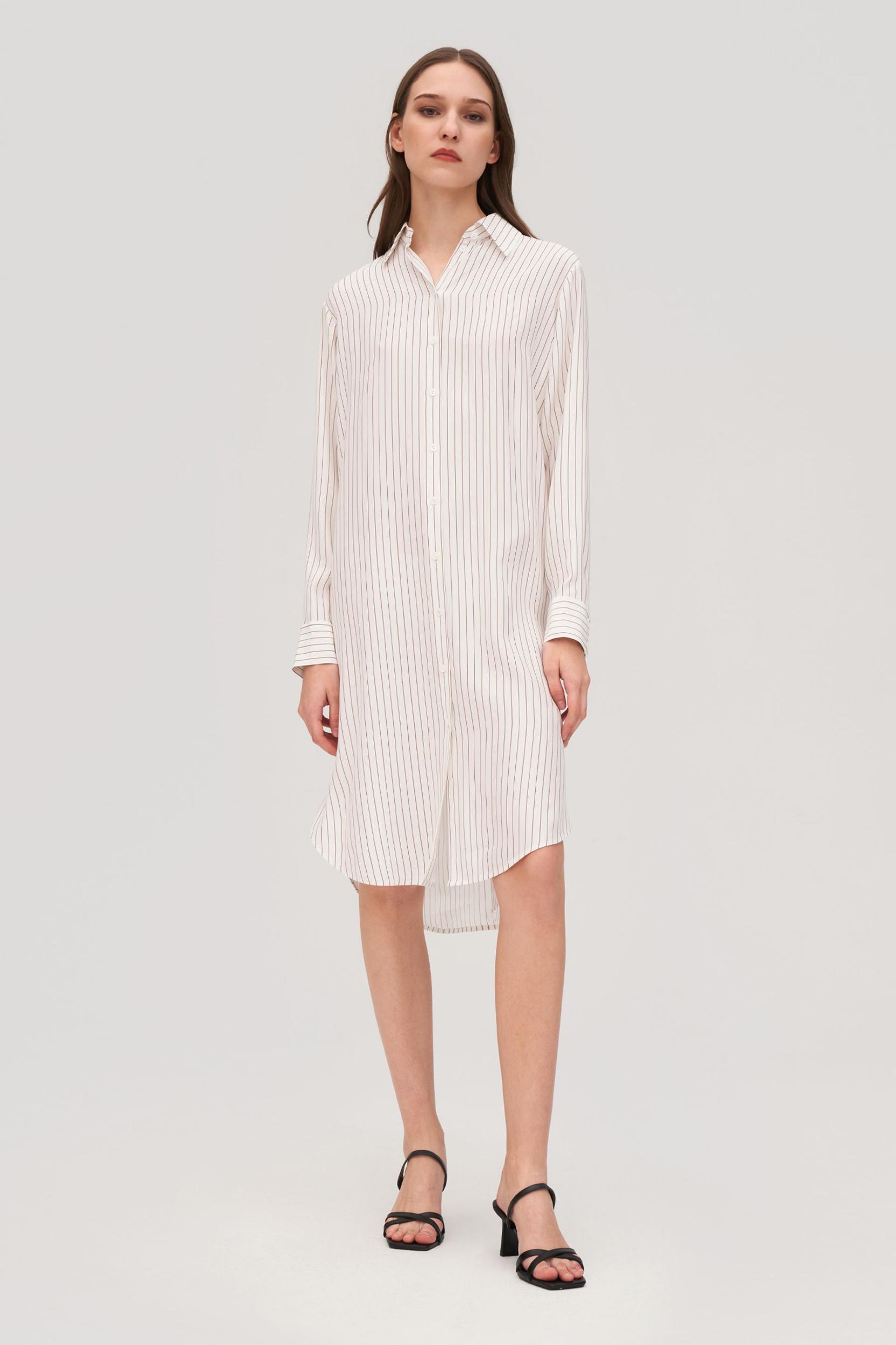 Pinstriped Freesia Shirt Dress Product Image