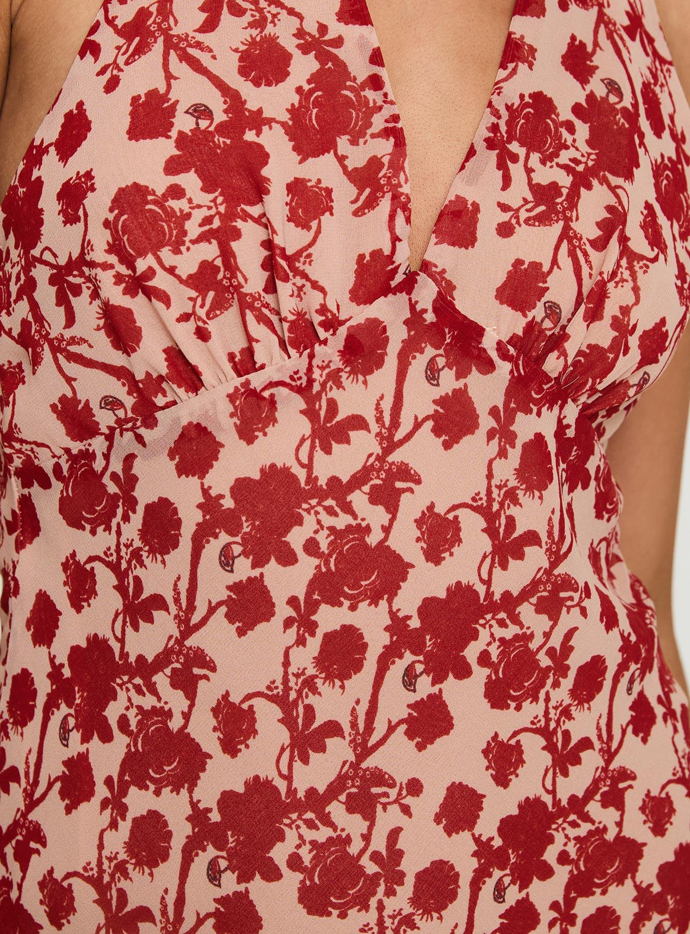 Neelia Mini Dress Red Floral Product Image