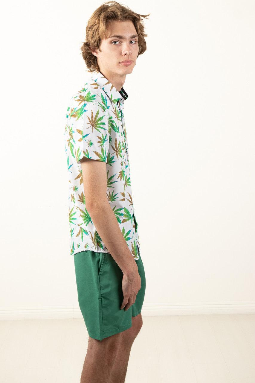 Raspberry Volley Shorts Product Image