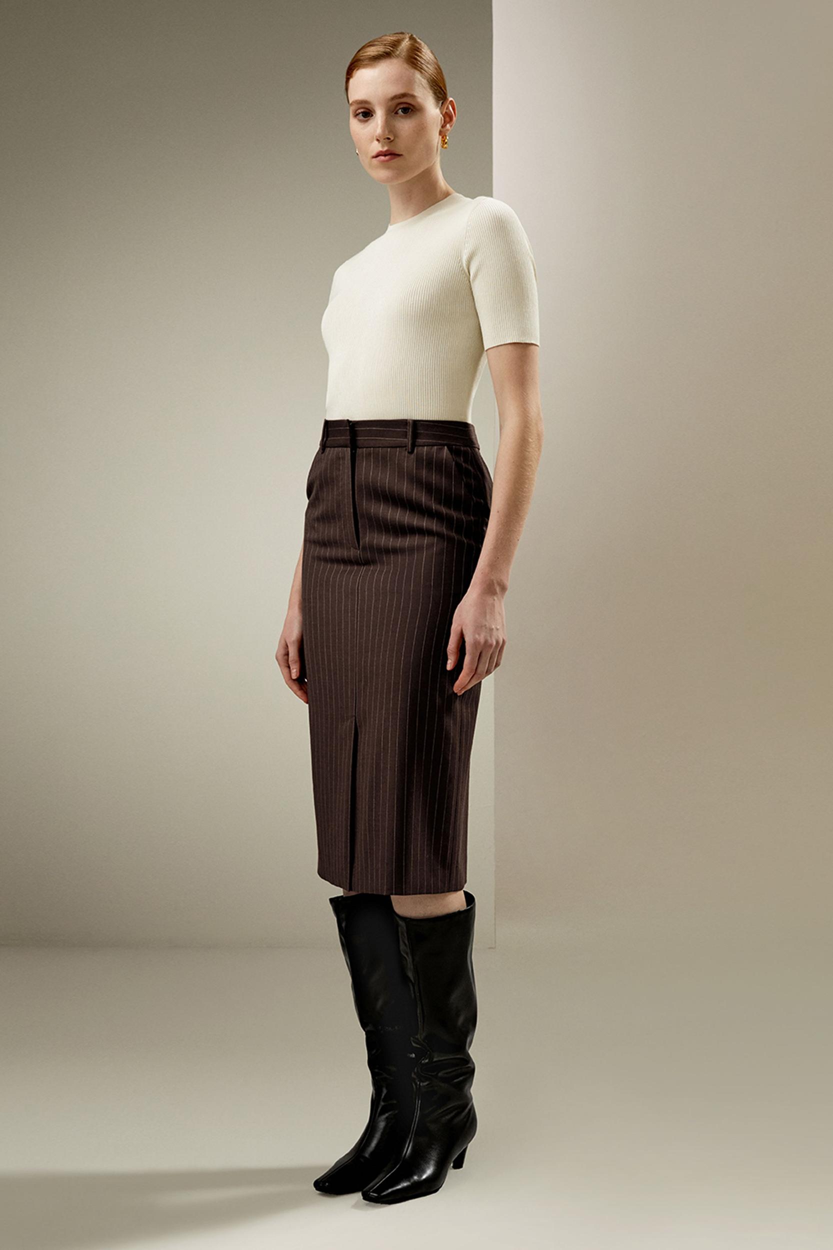 Pinstripe Midi Pencil Skirt Product Image