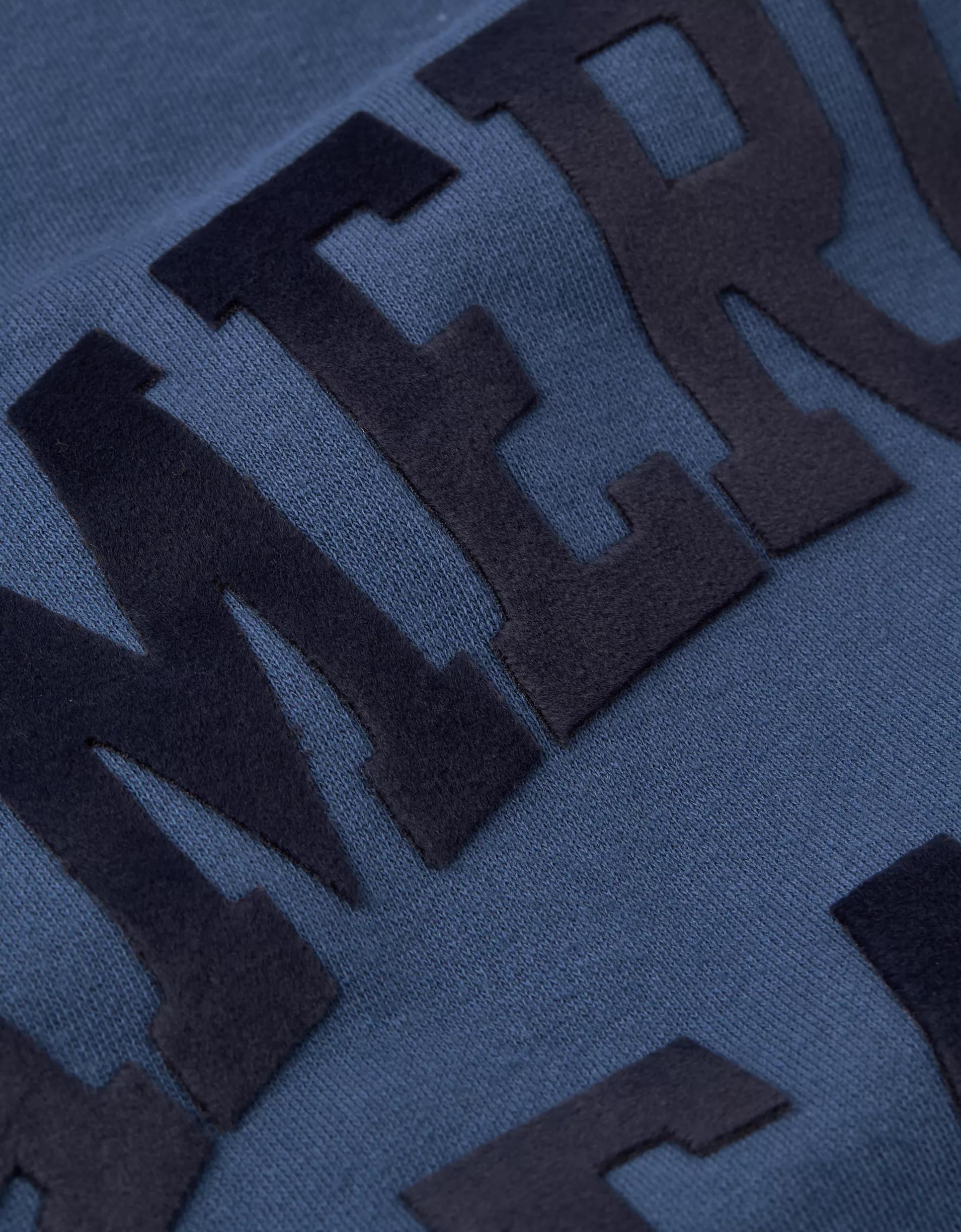 AE Velvet Graphic Crew Neck Sweatshirt Product Image