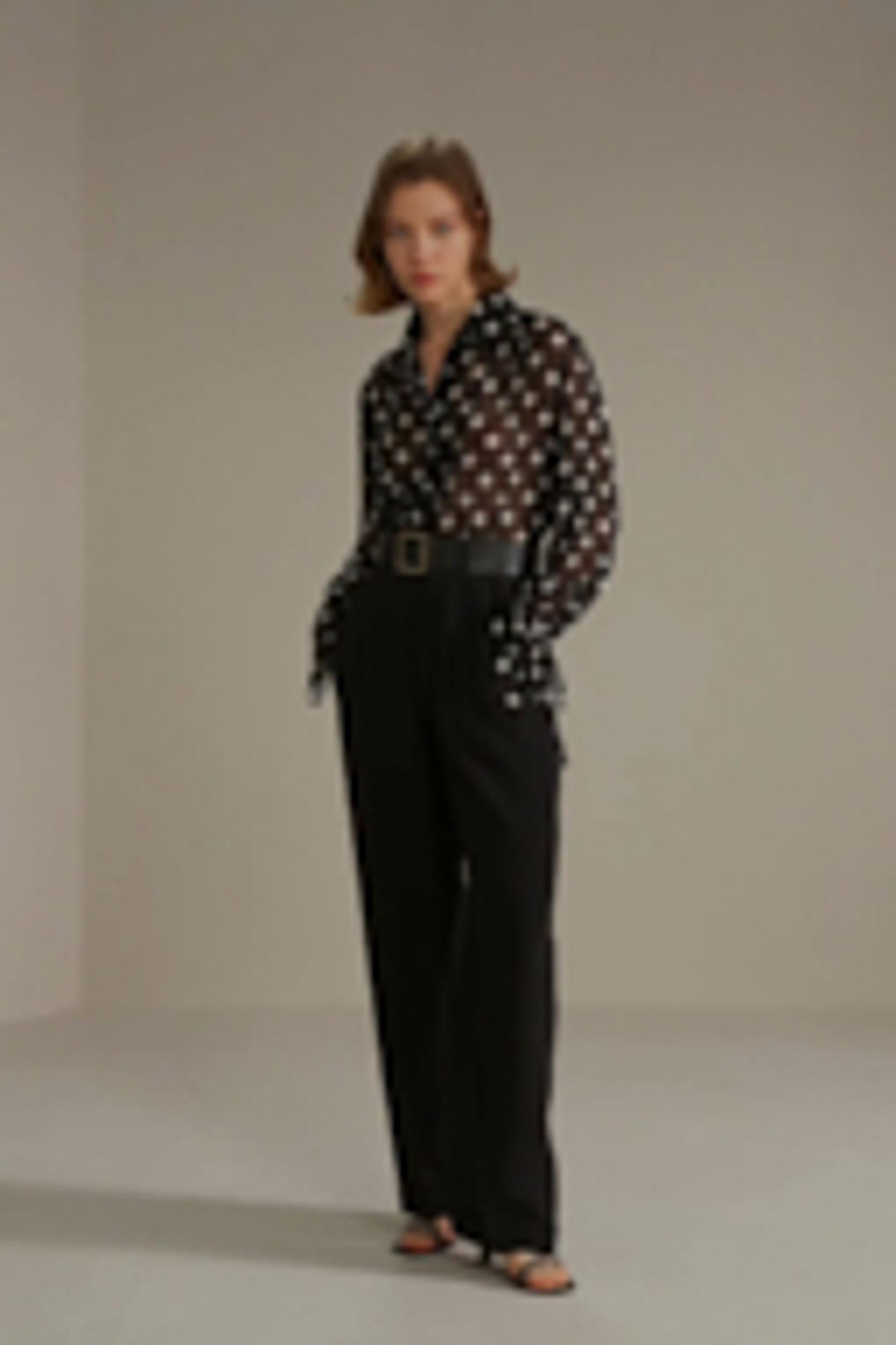 Polka Dots Georgette Blouse Product Image