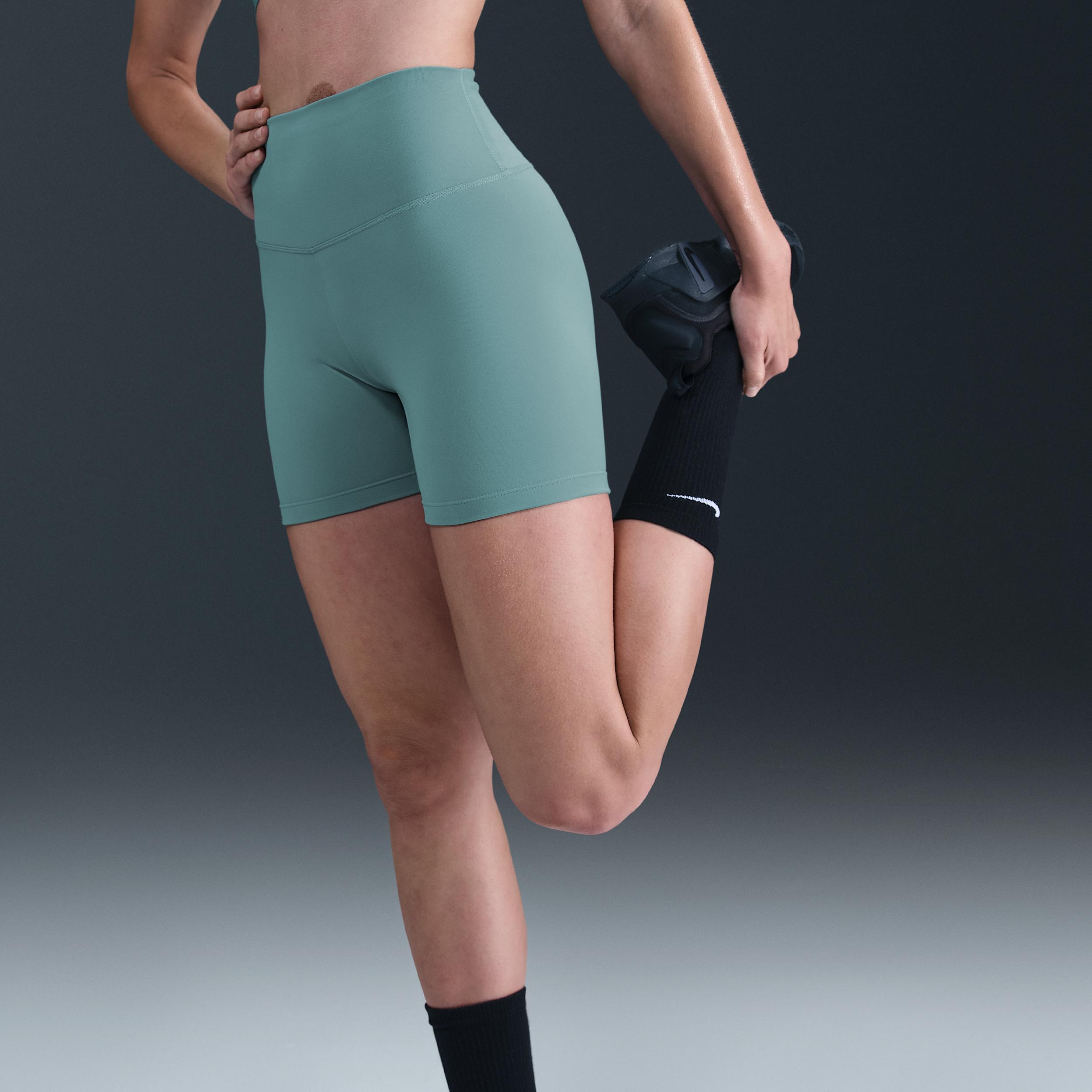 Nike Womens One High-Waisted 5 Biker Shorts | FN3211-017 Product Image