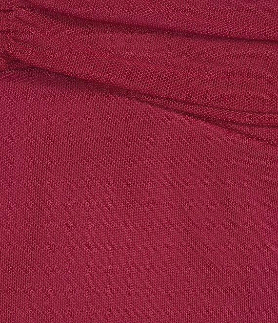 Evolutionary Mesh Boat Neck Long Sleeve Top Product Image