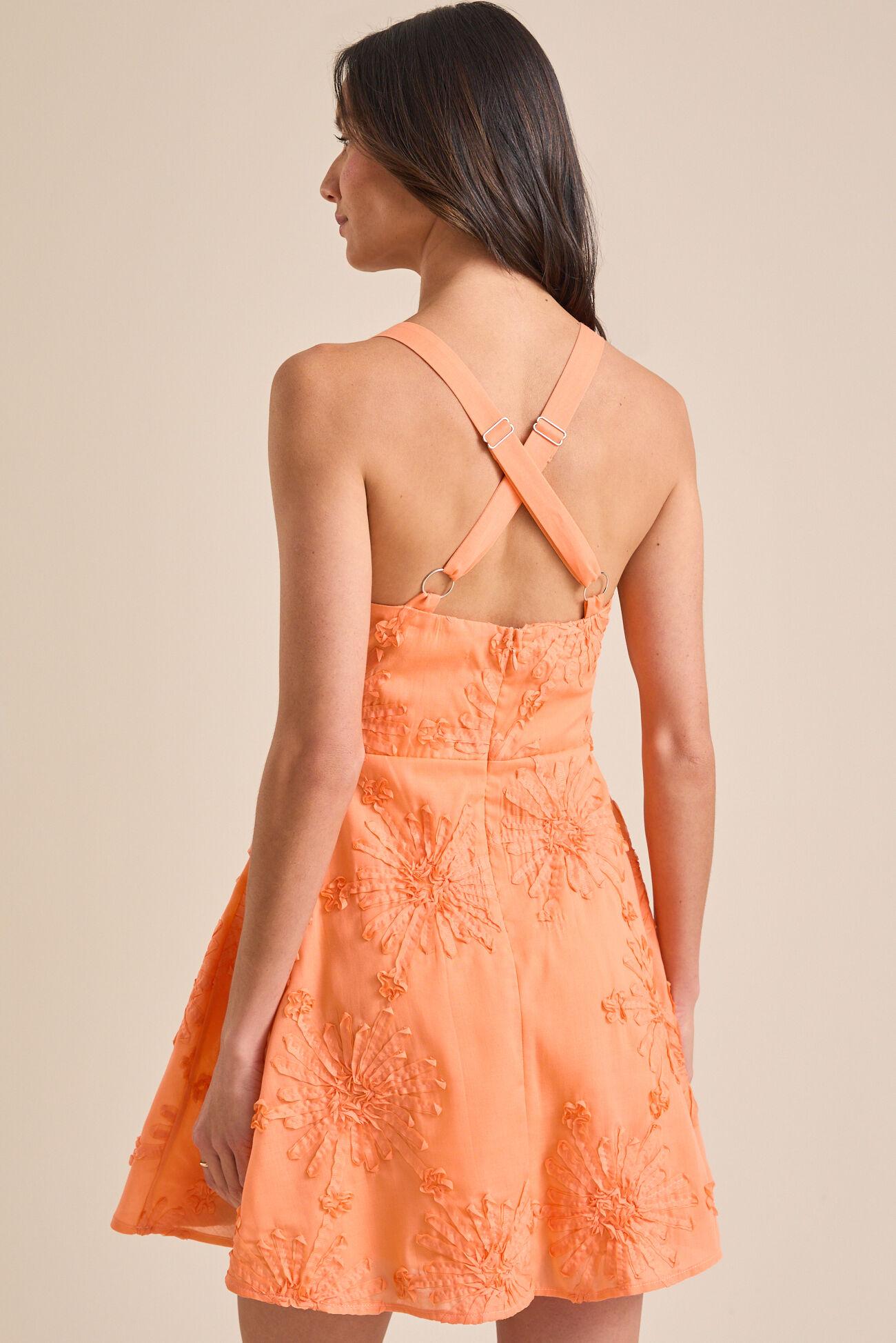 Daphney Floral Mini Dress Product Image