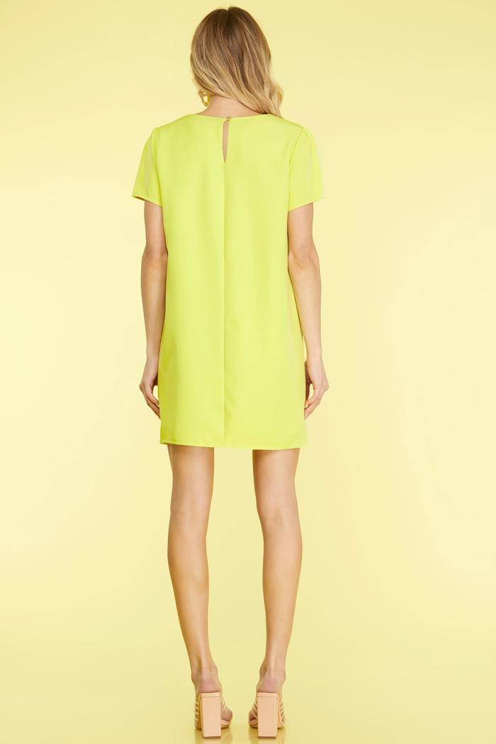 Short Slv Shift Woven Dress Product Image
