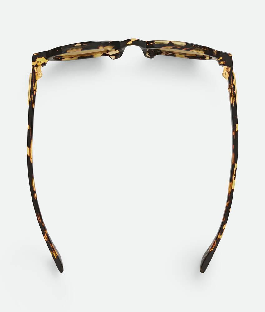 Classic Oval Sunglasses in Havana/yellow Product Image