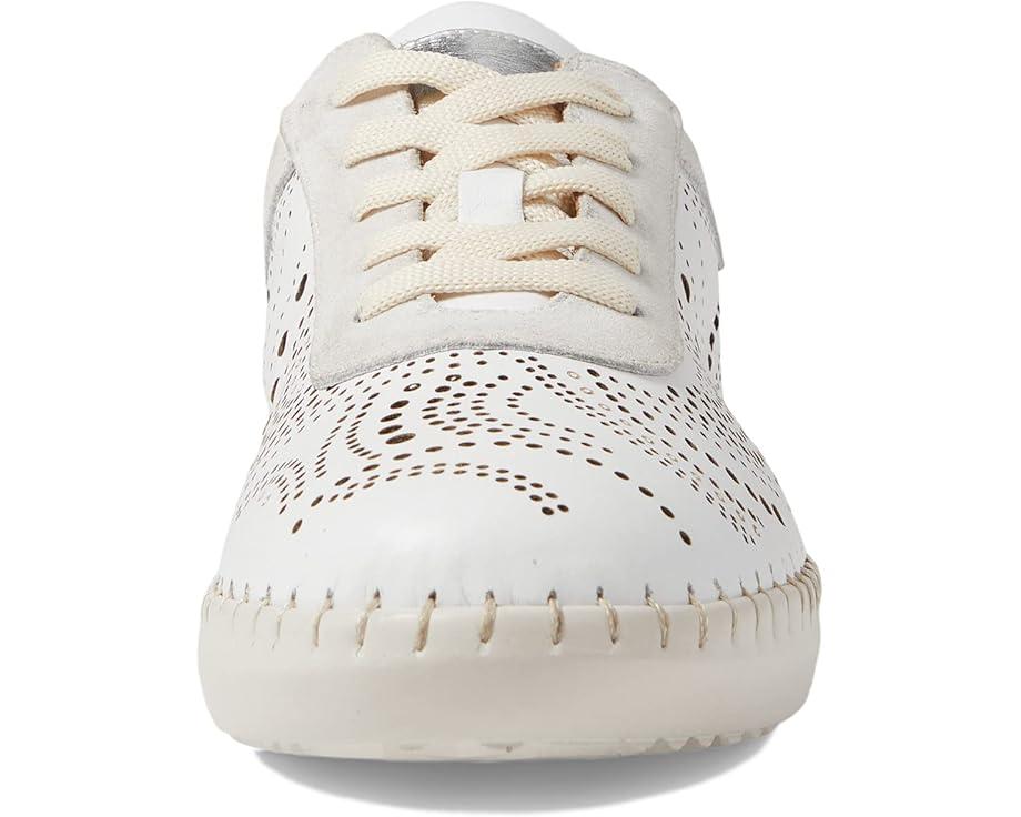 Picasa Product Image