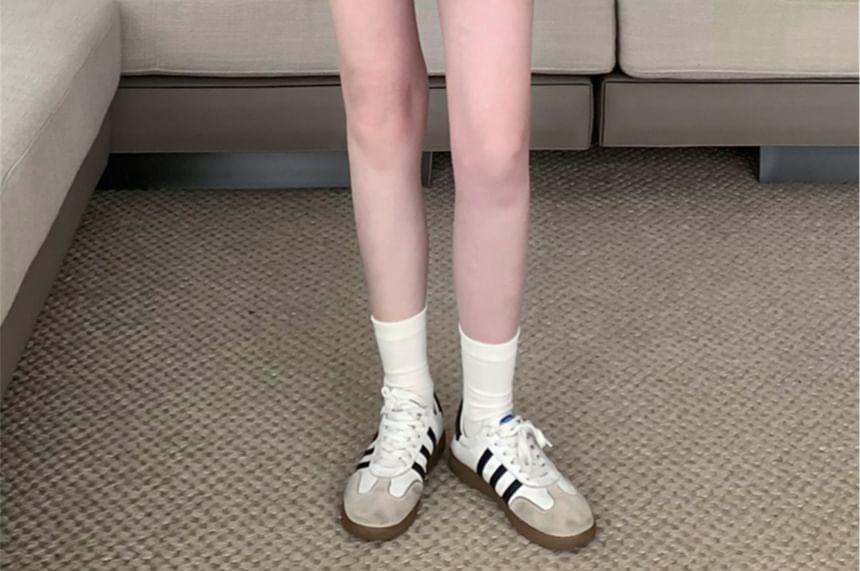 Elastic Waist Plain Sweat Shorts Product Image