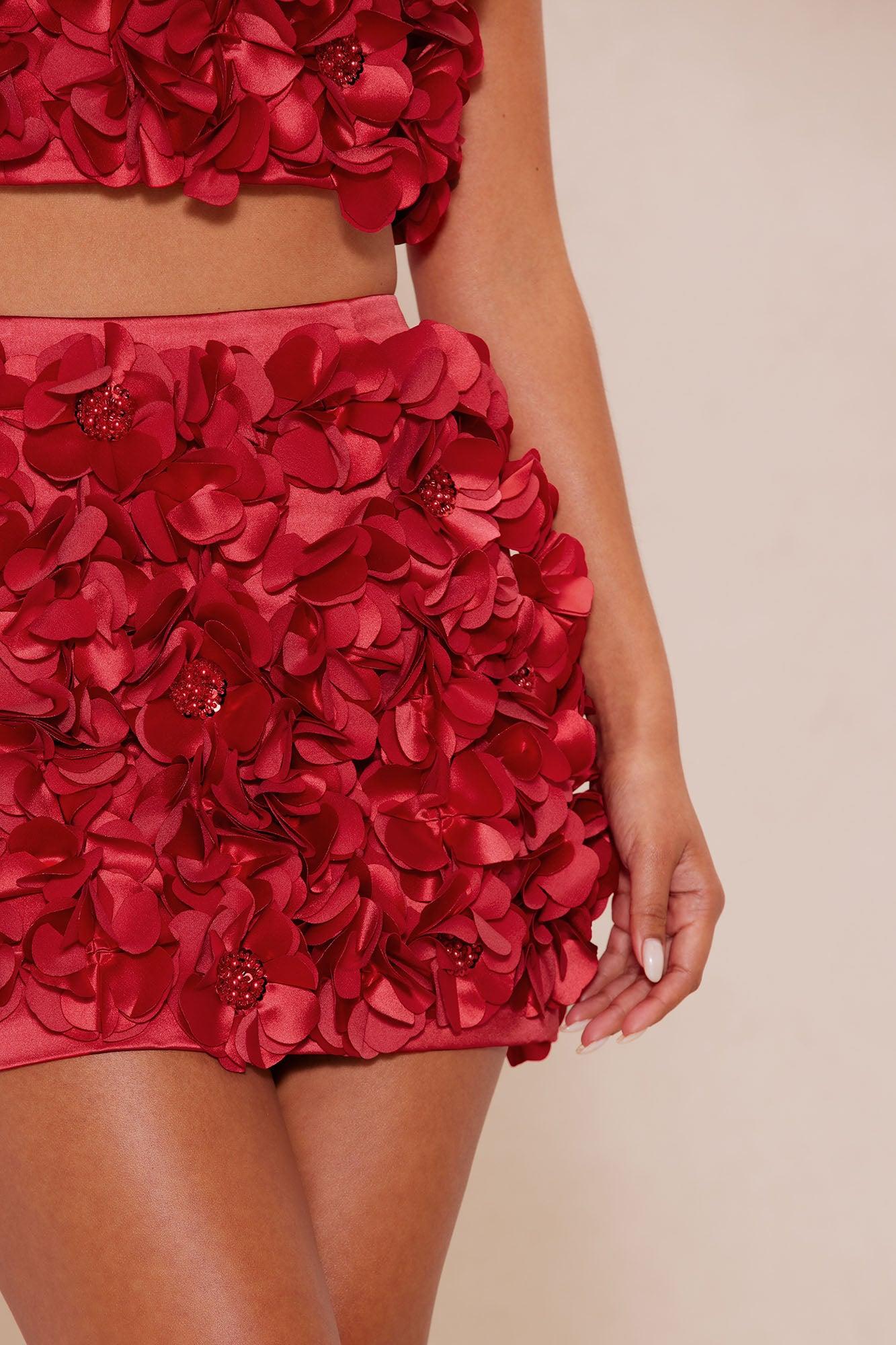 Myla Floral Applique Mini Skirt - Red Product Image