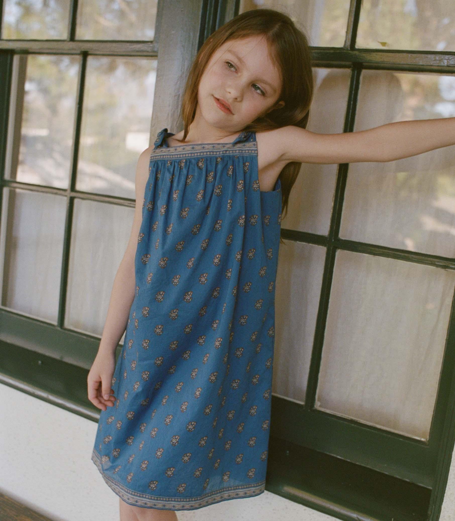 AMAIA DRESS -- EARTHA PAISLEY Product Image