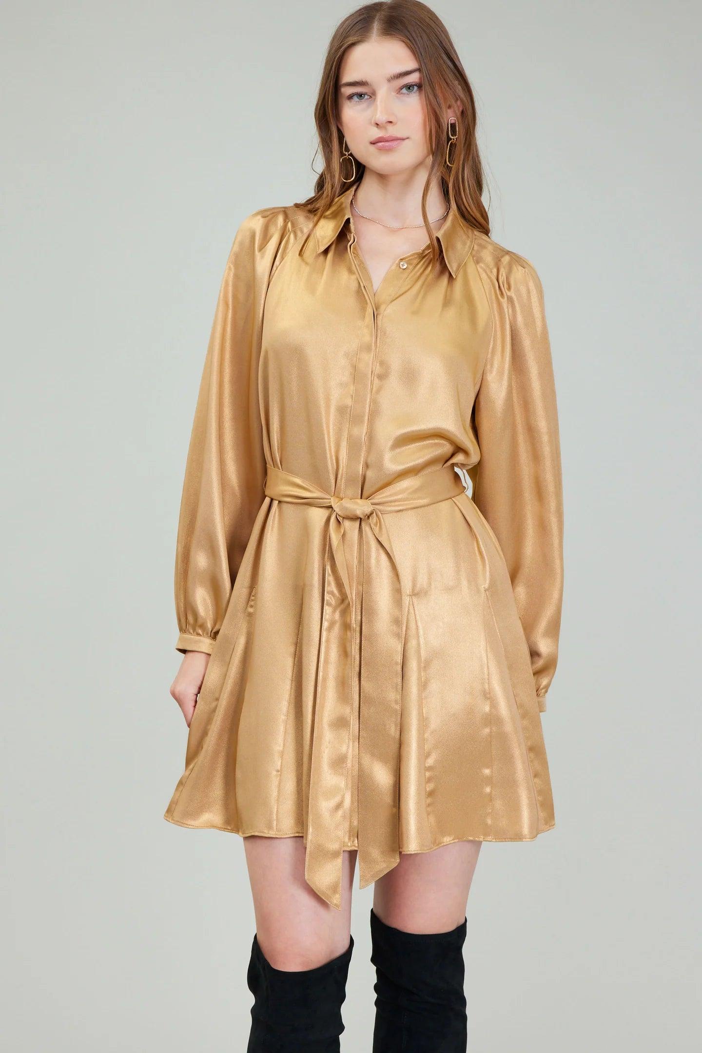 Perfect Fall Mini Dress Product Image
