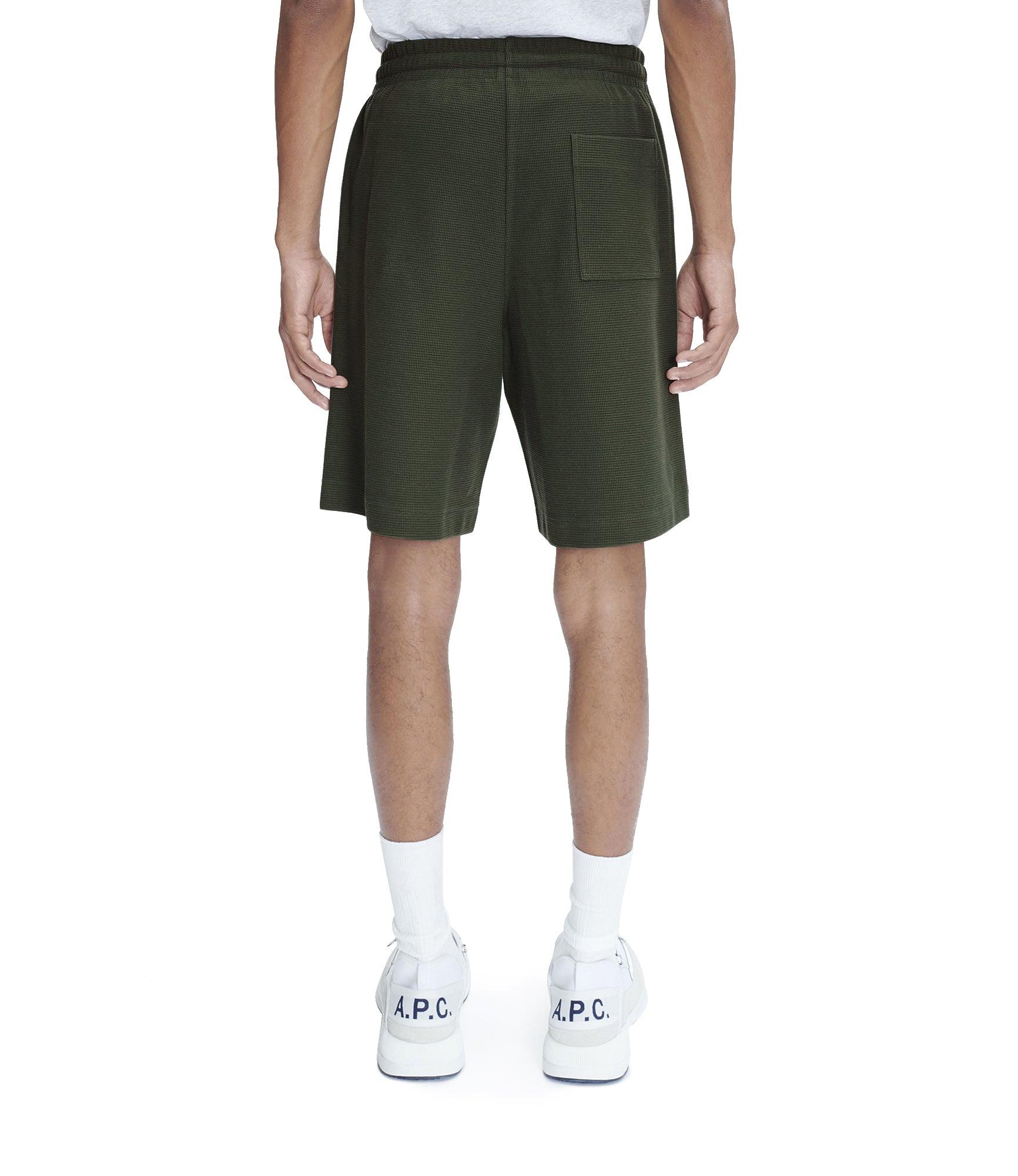 Lino shorts Male Product Image