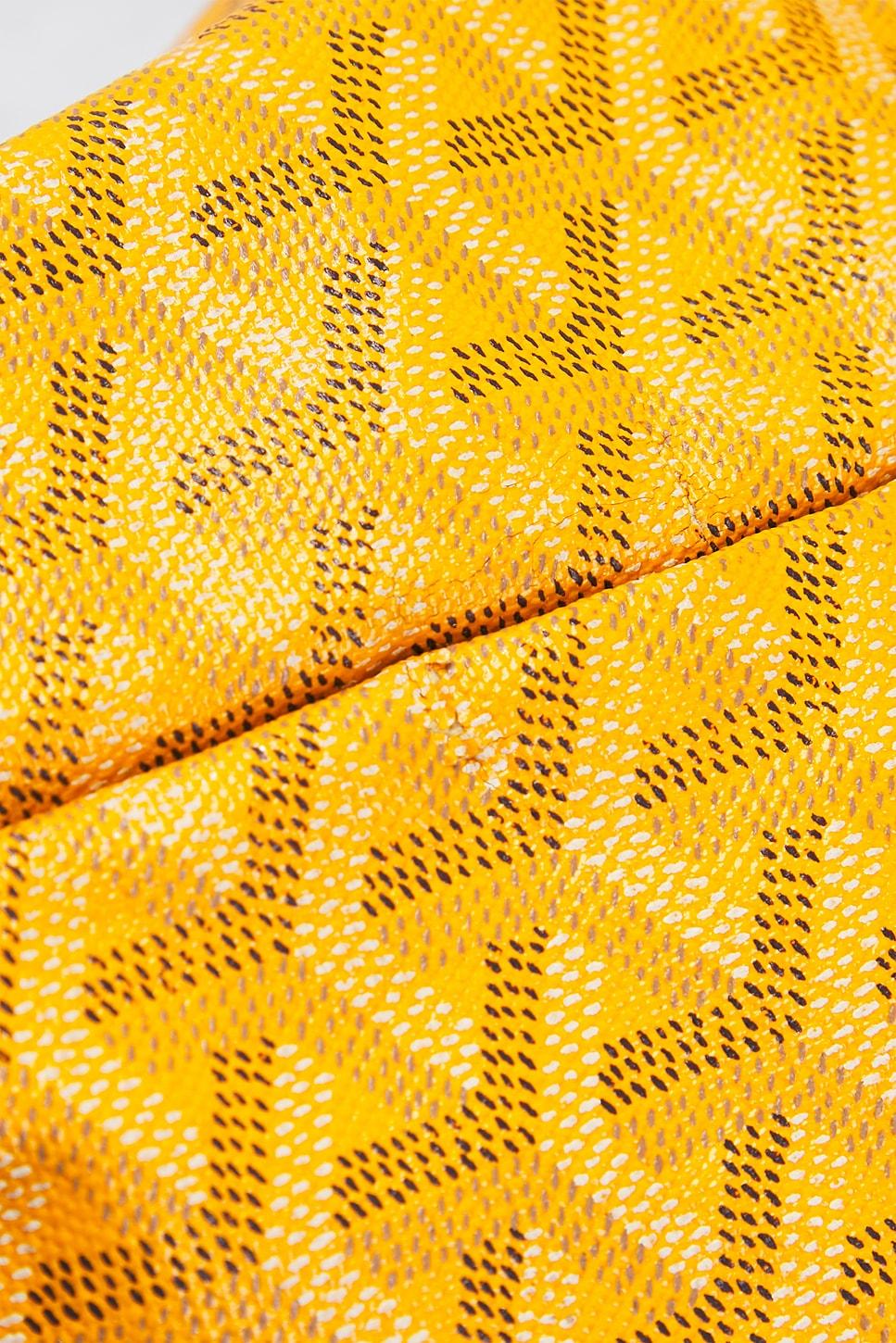 Goyard Saint Louis PM Tote Bag Product Image