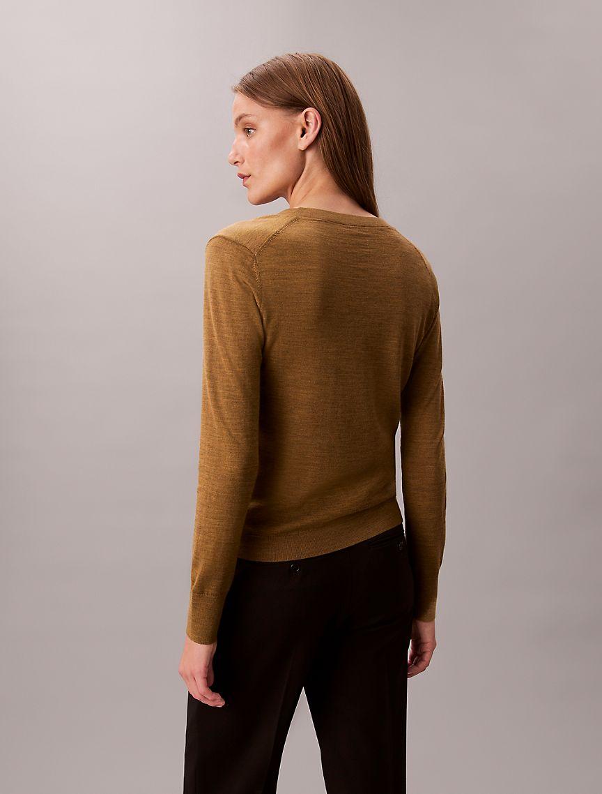 Merino Wool V-Neck Sweater Product Image