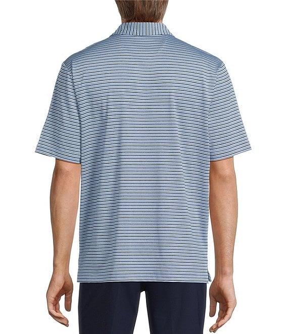 Roundtree & Yorke Big & Tall Performance Multi Stripe Polo Shirt Product Image