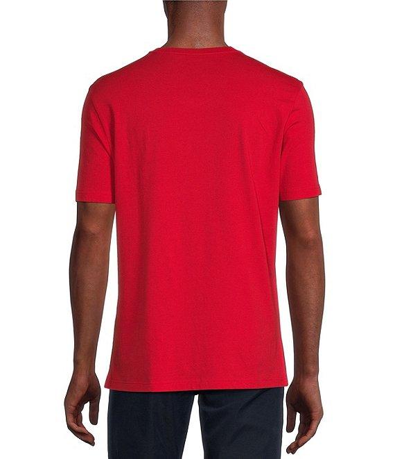 Cremieux Blue Label Jersey Knit Short Sleeve V-Neck T-Shirt Product Image