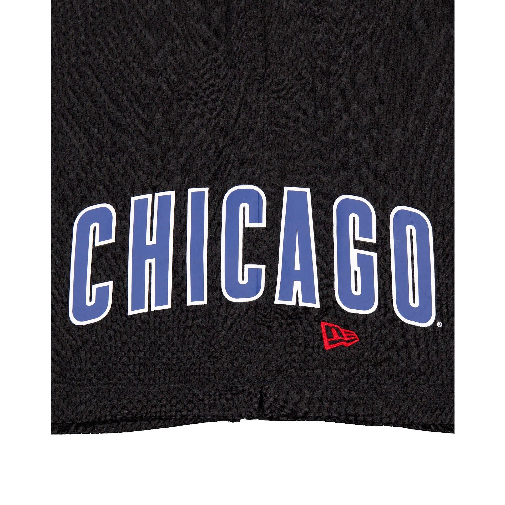 Chicago Cubs Mesh Shorts Male Product Image