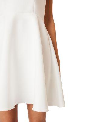 Geranium Mini Dress Product Image