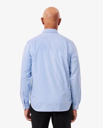 Regular Fit Striped Cotton Shirt Product Image