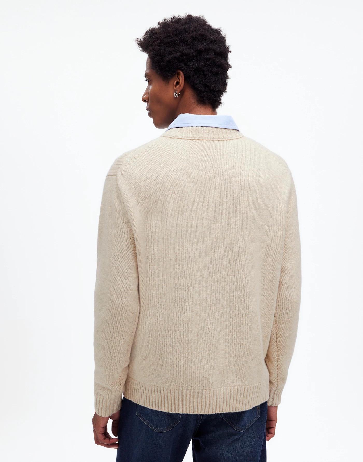 Crewneck Sweater in SoftWool Product Image
