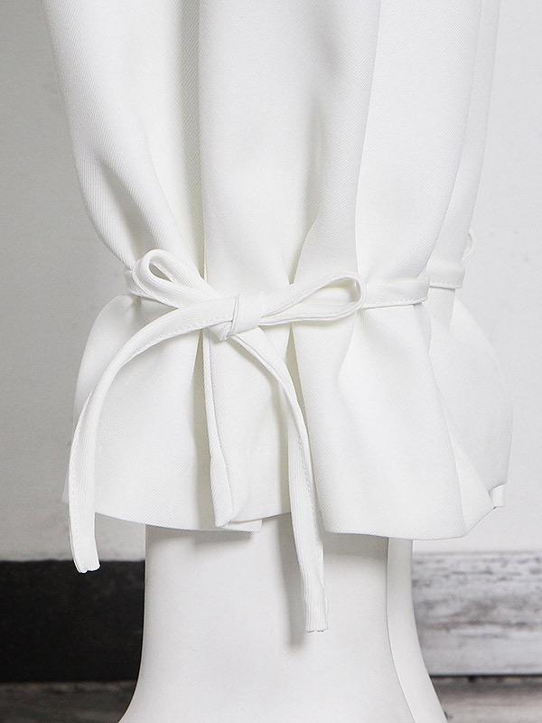 Column Long Sleeves Solid Color Lapel Blazer Pants Set Two Pieces Set Product Image