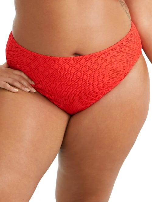 Plus Size Bazaruto Mid-Rise Bikini Bottom Product Image