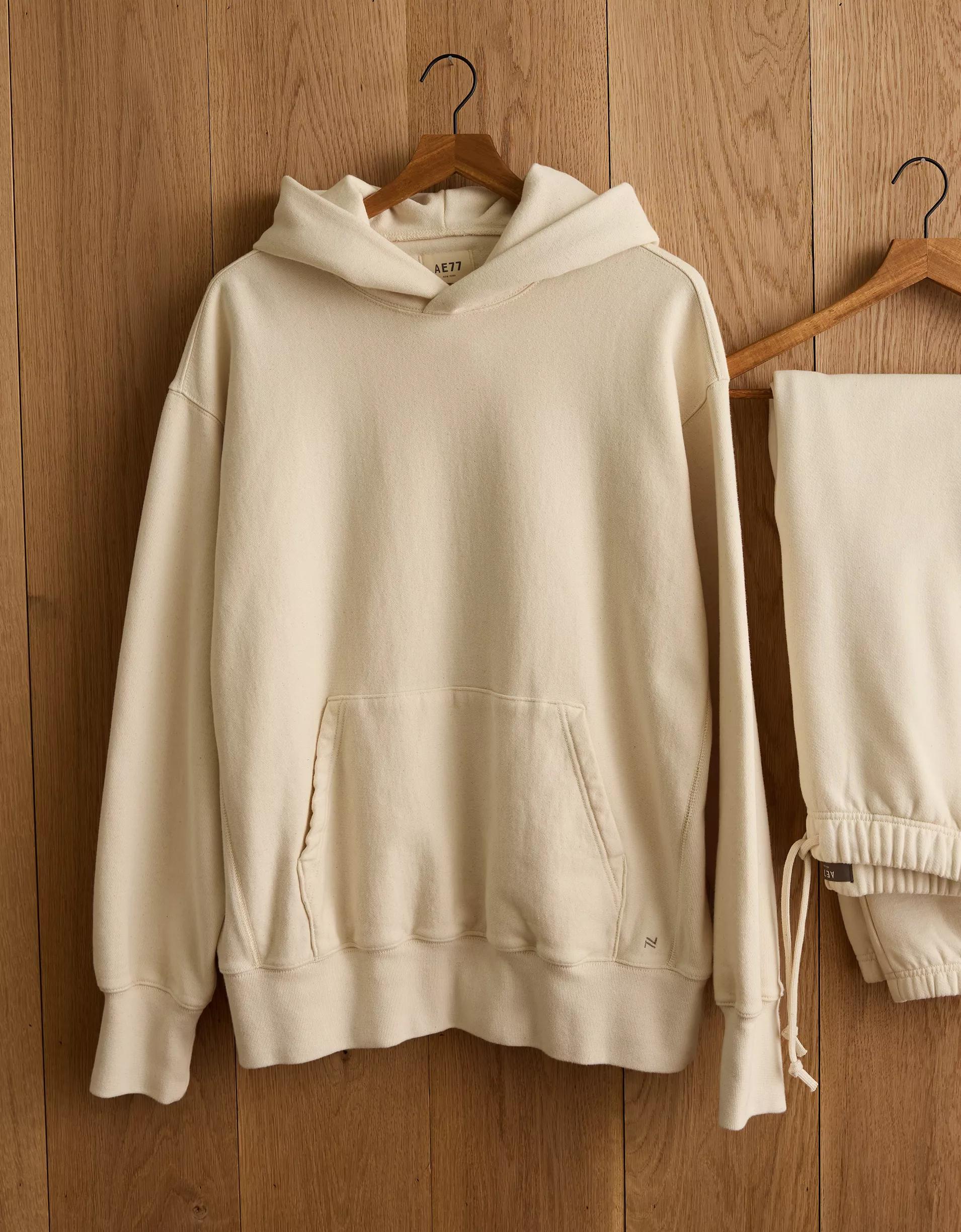 AE77 Premium Fleece Hoodie Product Image