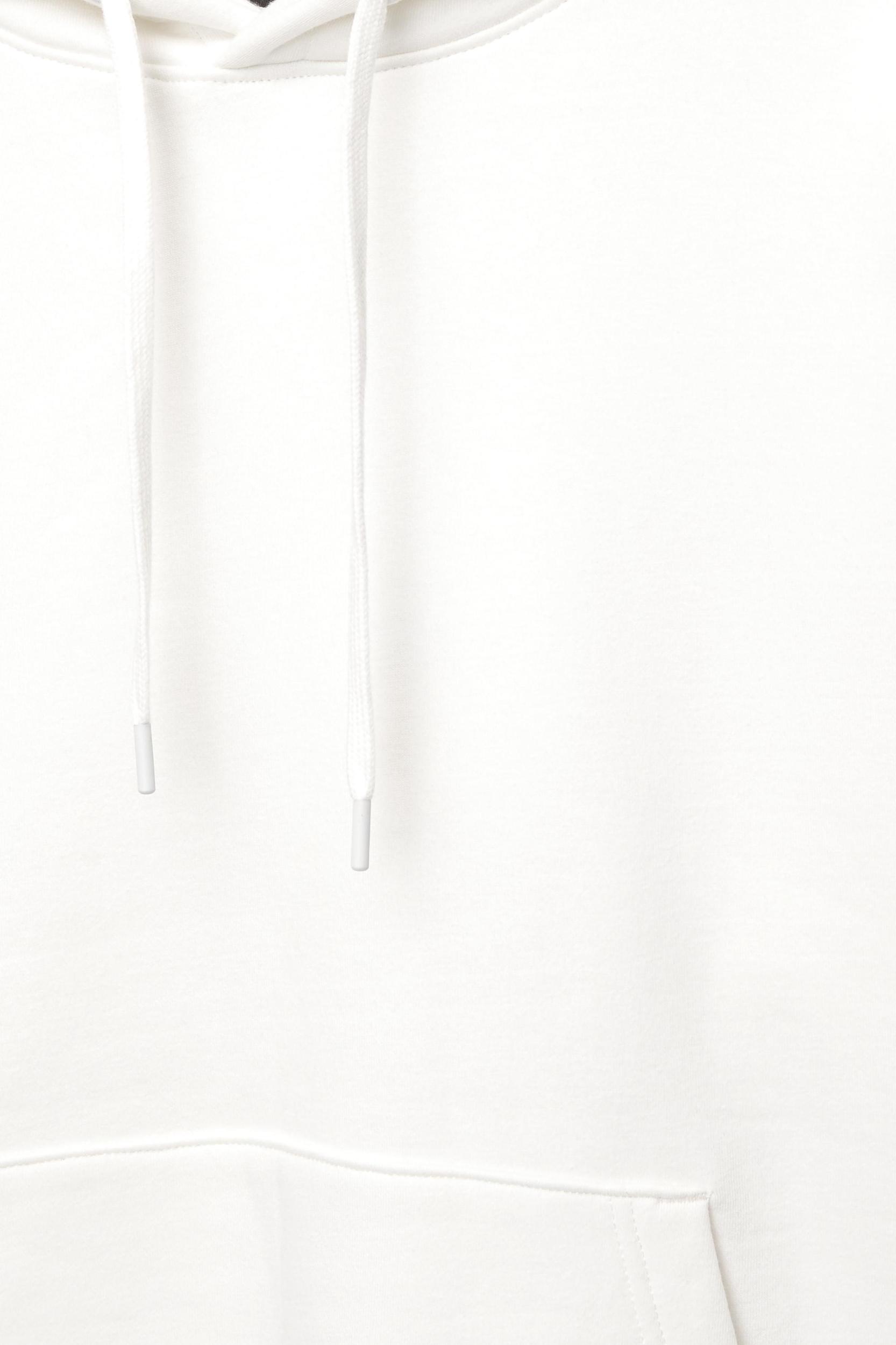 Basic hoodie Product Image